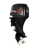 Купить Golfstream Подвесной лодочный мотор GOLFSTREAM (Гольфстрим) T75FEX-T