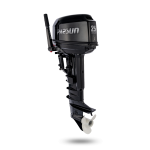 Купить Parsun Подвесной лодочный мотор Parsun T25 BMS
