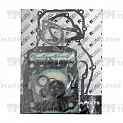 Полный комплект прокладок Namura Technologies для Polaris NA-50004F