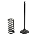 Комплект впускной клапан (центр)/пружина Gas Gas/Yamaha 250/300 см³ XU-19I-19IS Psychic MX Components