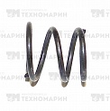 Пружина толкателя BRP 003-415-06 WSM